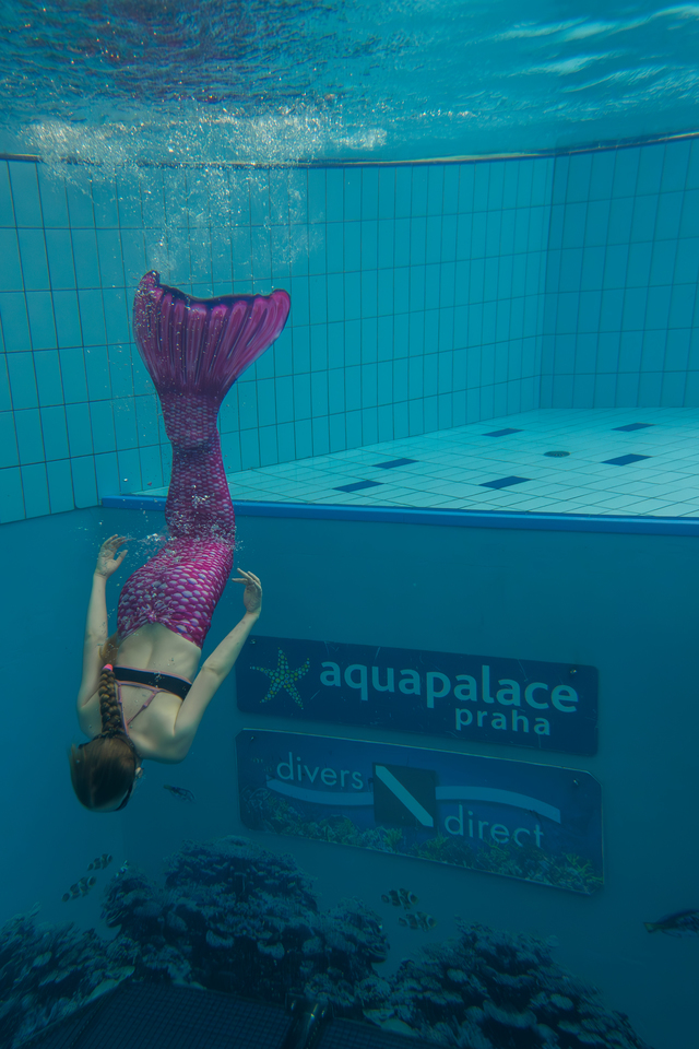 Mořská panna při potápění s ploutví v bazénu